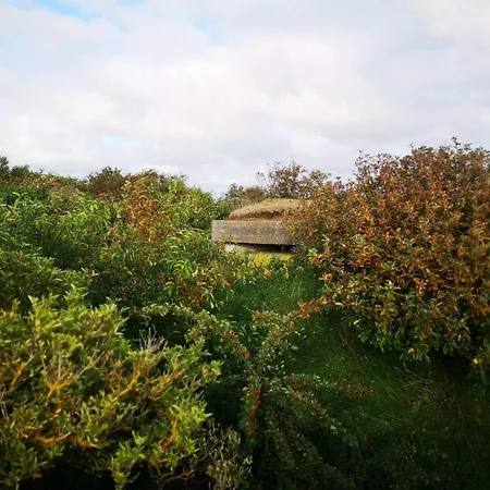 6 Person In Skjern-by Traum *