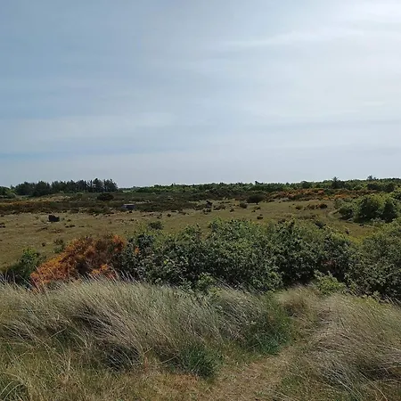 בית נופש 6 Person In Skjern-by Traum *