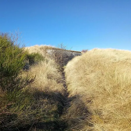 6 Person In Skjern-by Traum בית נופש Skjern
