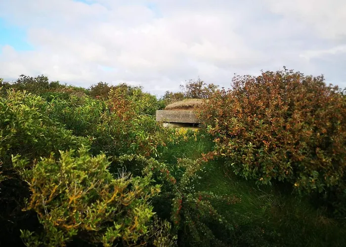 6 Person In Skjern-by Traum *