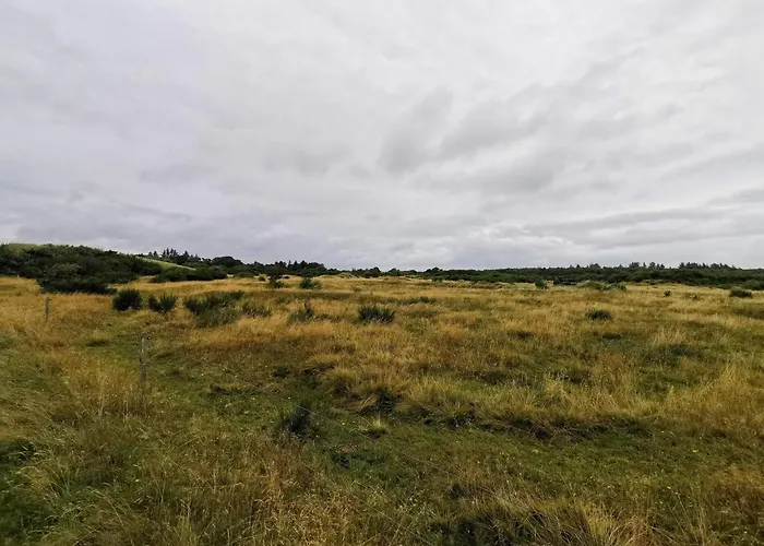 בית נופש 6 Person In Skjern-by Traum Skjern