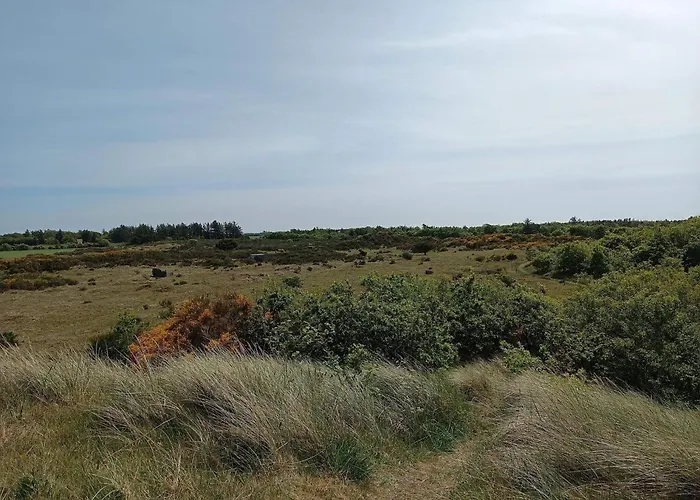 בית נופש 6 Person In Skjern-by Traum *