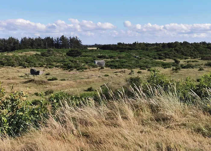 בית נופש 6 Person In Skjern-by Traum Skjern